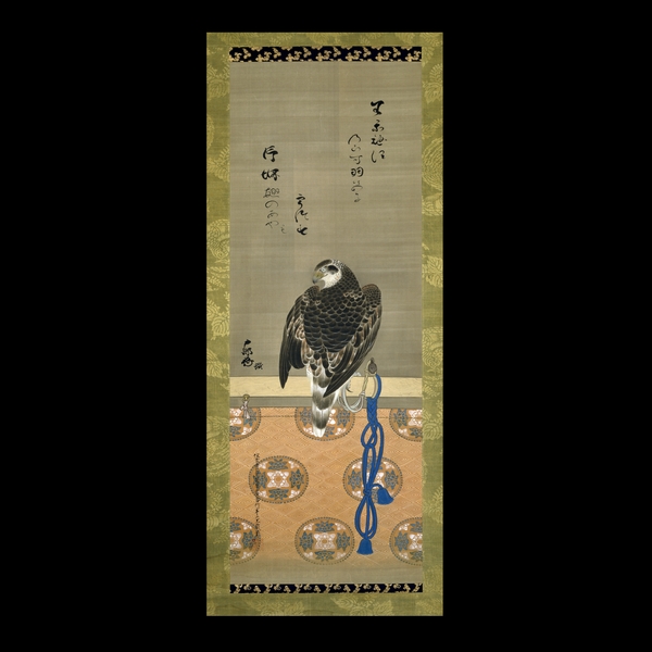 Falcon Screen